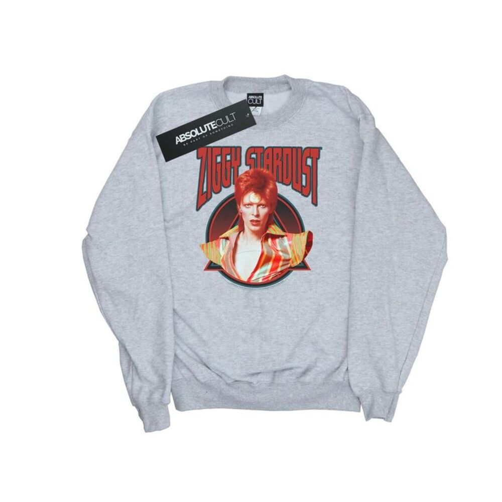 David Bowie Boys Ziggy Stardust Sweatshirt / Sports Grey
